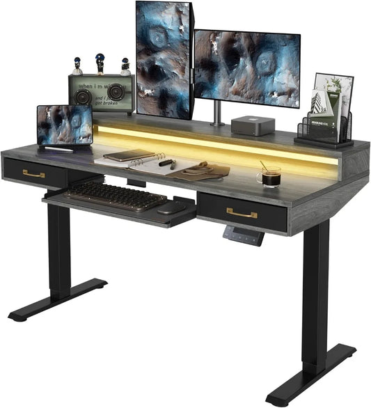 55 x 25 Inch Height Adjustable Electric Standing Desk with Double Drawers&Keyboard Tray, Stand Up Desk with LED Strips